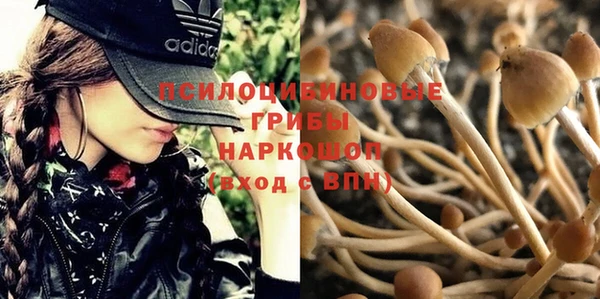mdpv Зерноград