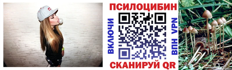 Галлюциногенные грибы Psilocybine cubensis  Купить где  Бокситогорск 